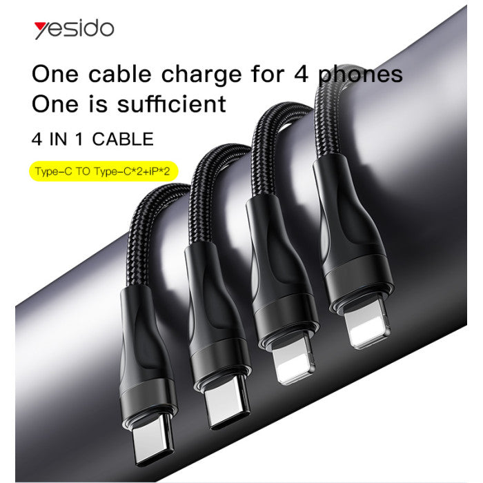 CA110 4 in 1 Charging Data Cable | Type-C to 2 TC + 2 IP Mobile Phone Charging Cable